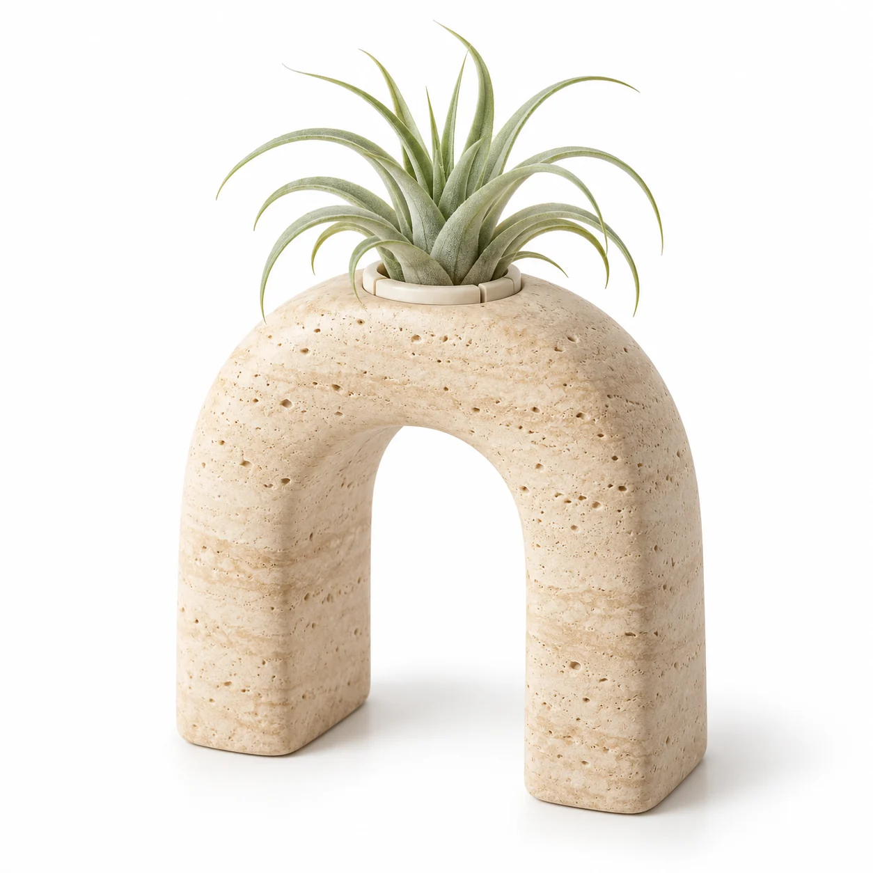 Stone Arch resin air plant holder with a sage-green air plant on a white background; design concept