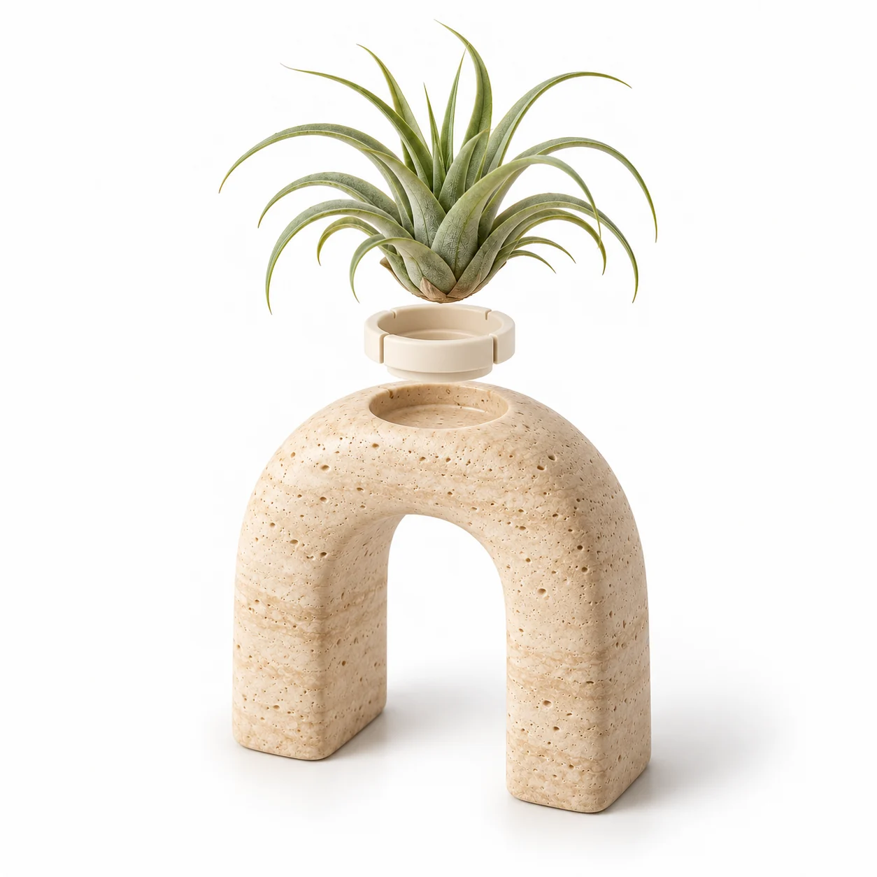 Stone Arch resin air plant holder with a sage-green air plant on a white background; design concept โ detail 1