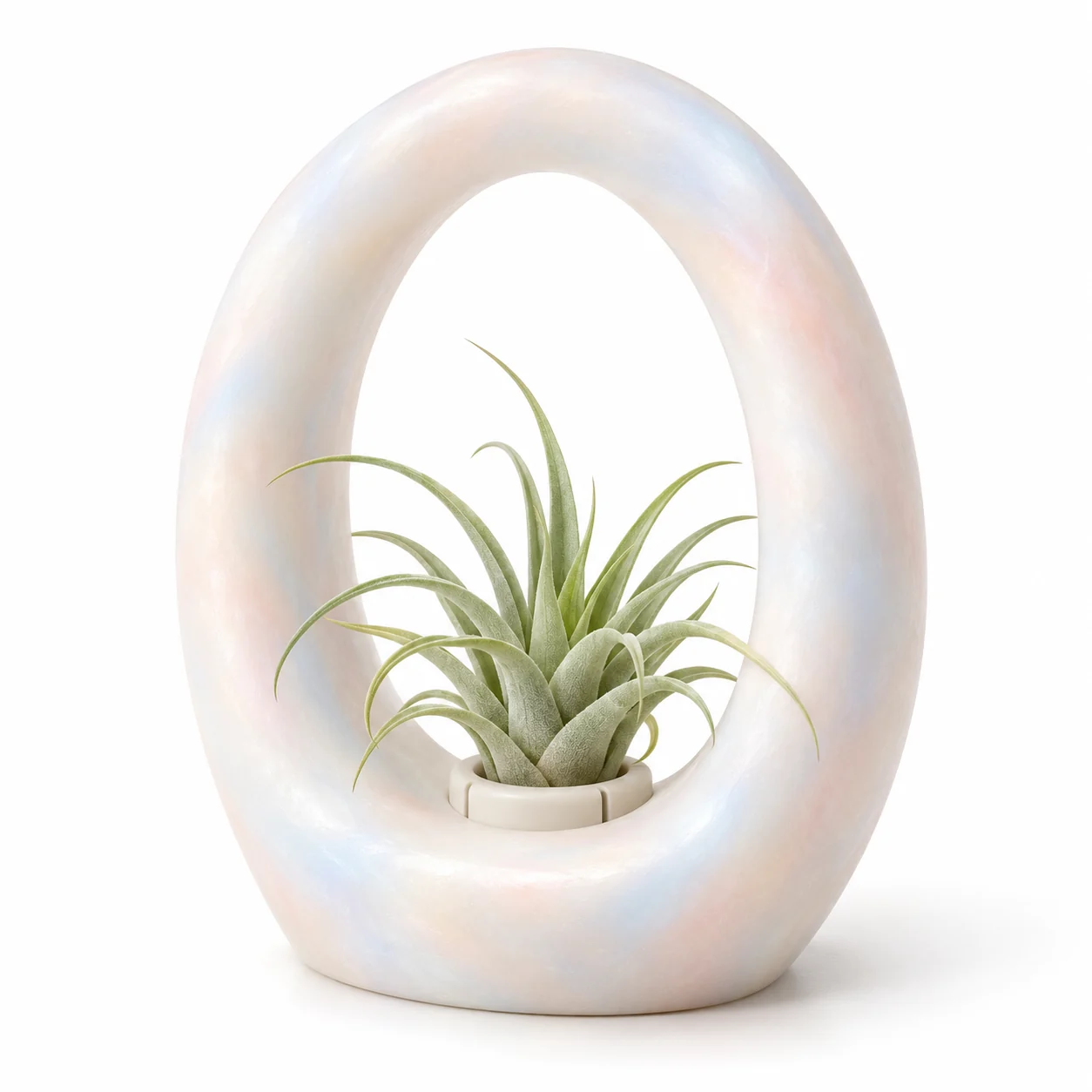 Opal Halo Sculptural Air Plant Holder