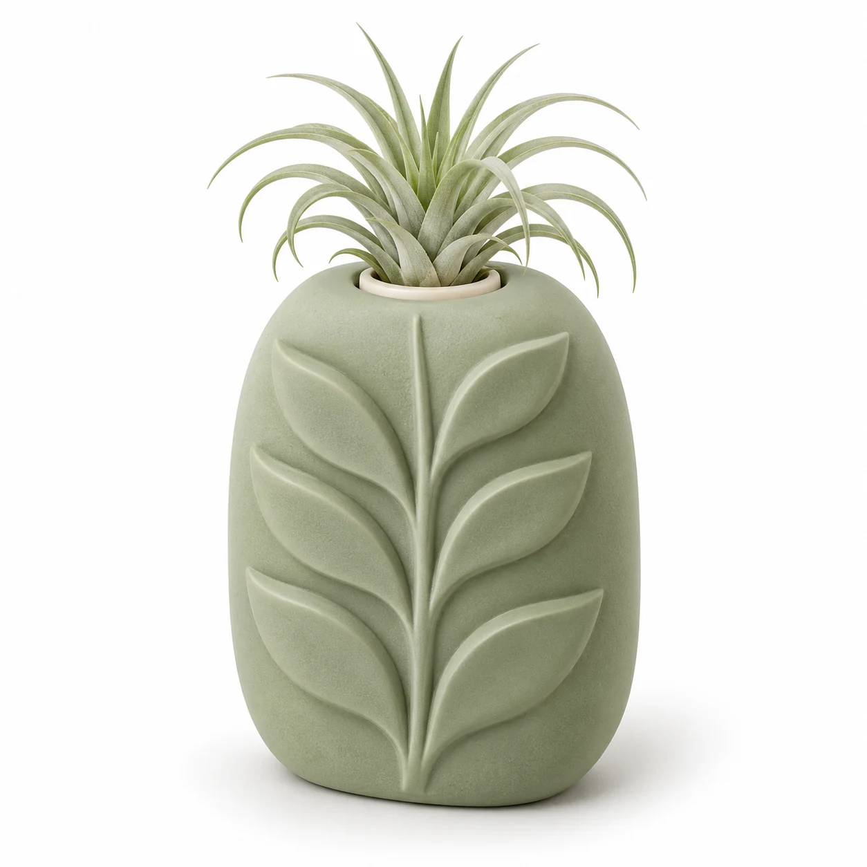 Botanical Ridge resin air plant holder with a sage-green air plant on a white background; design concept