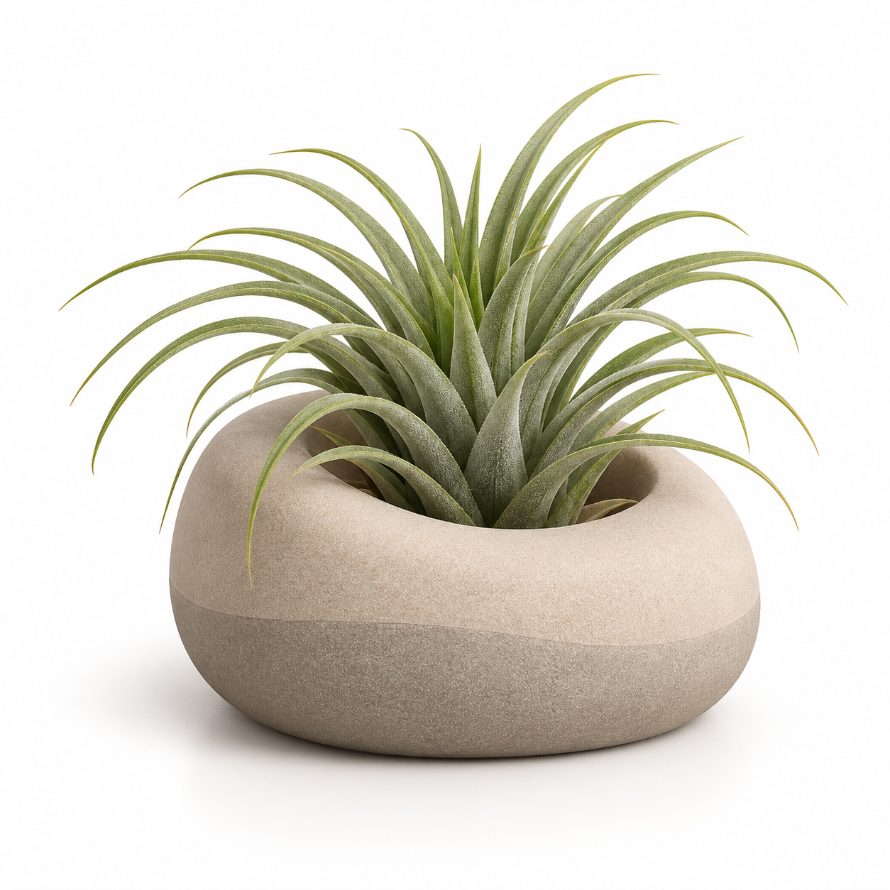 KELIKULI Pebble Sculptural Air Plant Holder on a white background