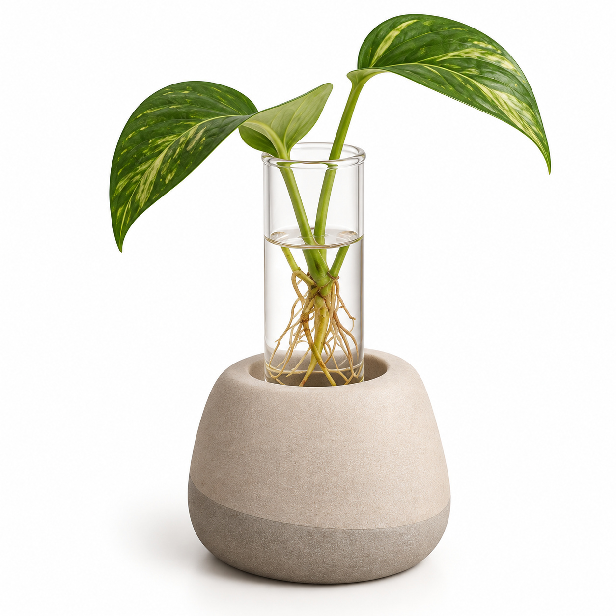 KELIKULI Pebble Sculptural Propagation Vase with Glass Tube on a white background