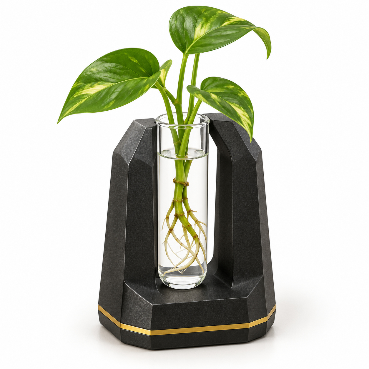 Black Gold Sculptural Propagation Vase with Glass Tube